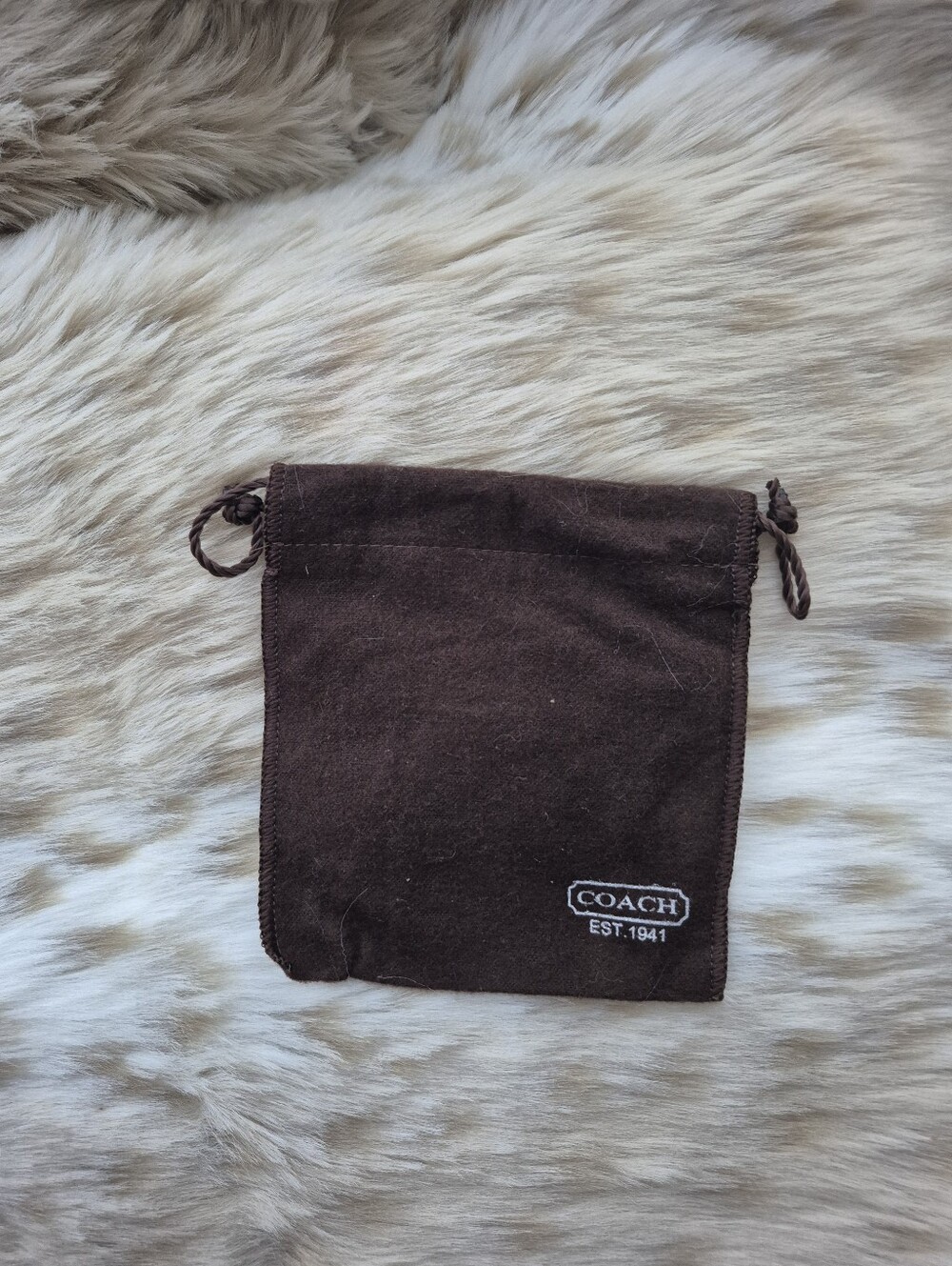 🌙Coach Dust Bag 5x5